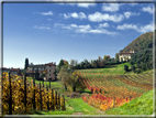 foto Colline Marosticane in Autunno